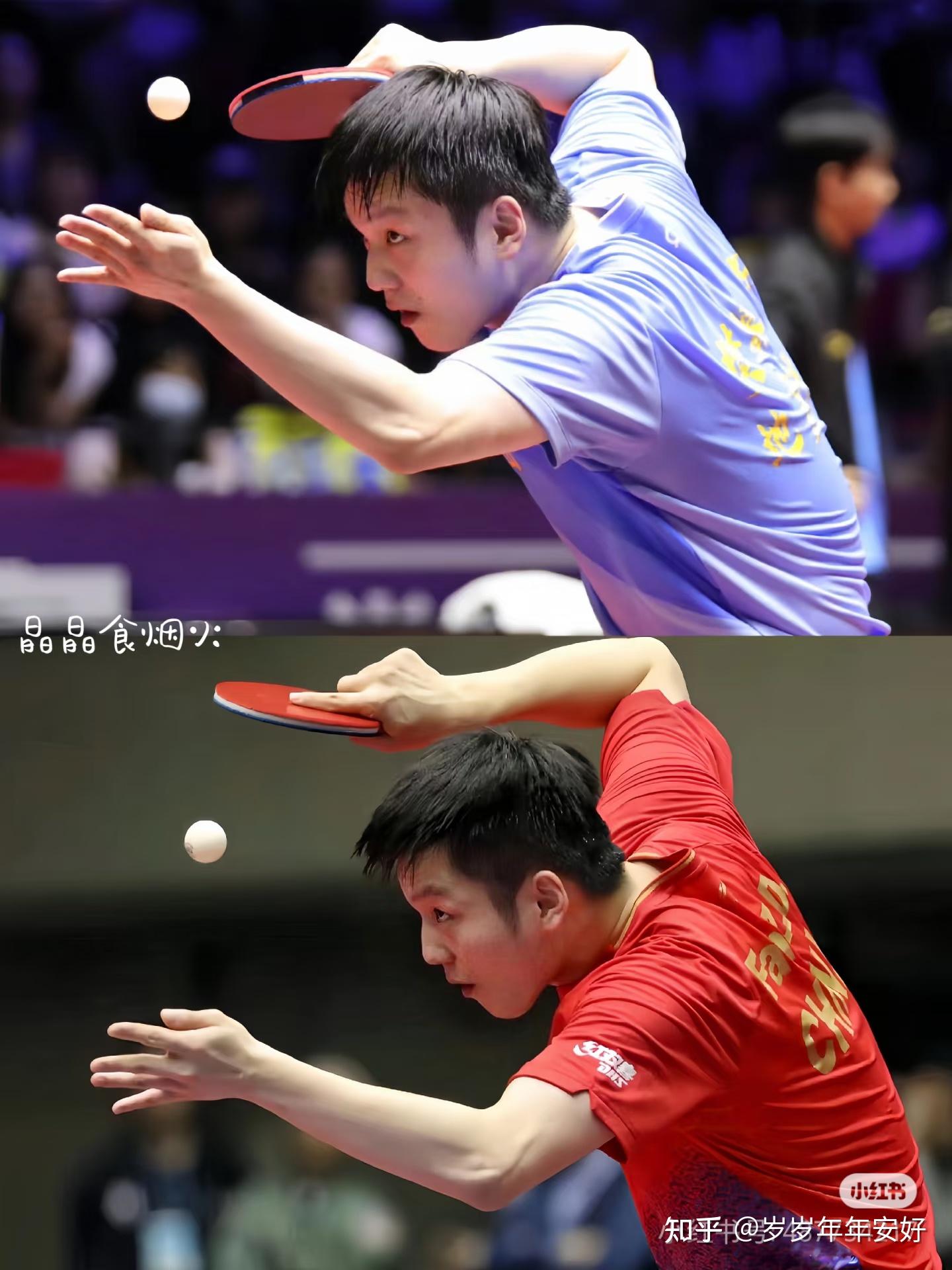 比利时乒乓球队鏖战韩国乒乓球队，樊振东打破历史纪录的简单介绍