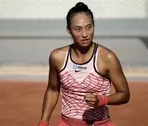 DFM横扫Vitality,Crisp惊艳世界 DFM横扫Vitality,Crisp惊艳世界