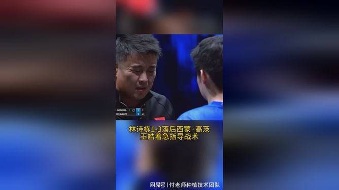 法国乒乓球队绝杀比利时乒乓球队，王皓完成帽子戏法的简单介绍