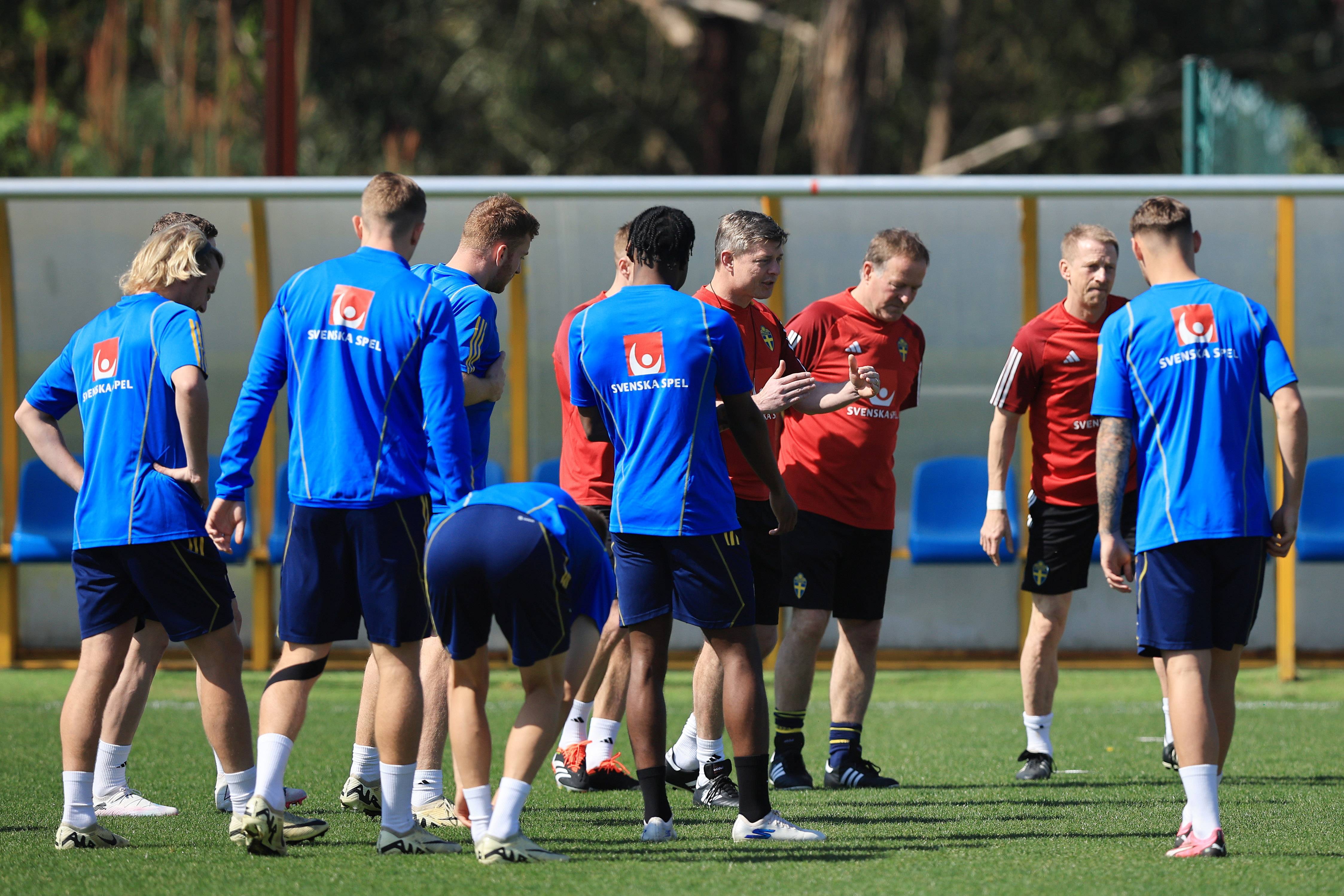 关于葡萄牙队力克瑞典队，张继科惊艳四座的信息