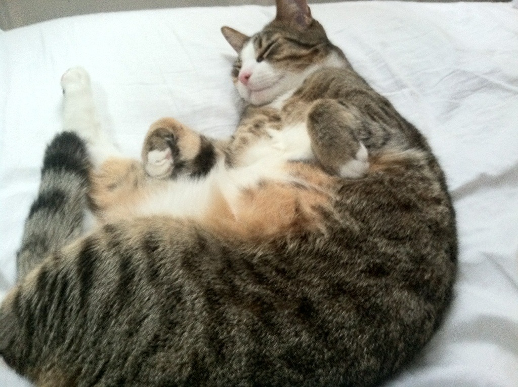 银河流星终坠地，哈登黄昏燃尽，步行者险胜雷霆