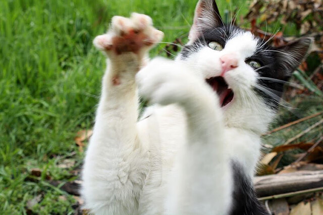 1.传奇之火重燃，阿圭罗降临友谊赛，奥地利联队逆转德甲劲旅勒沃库森