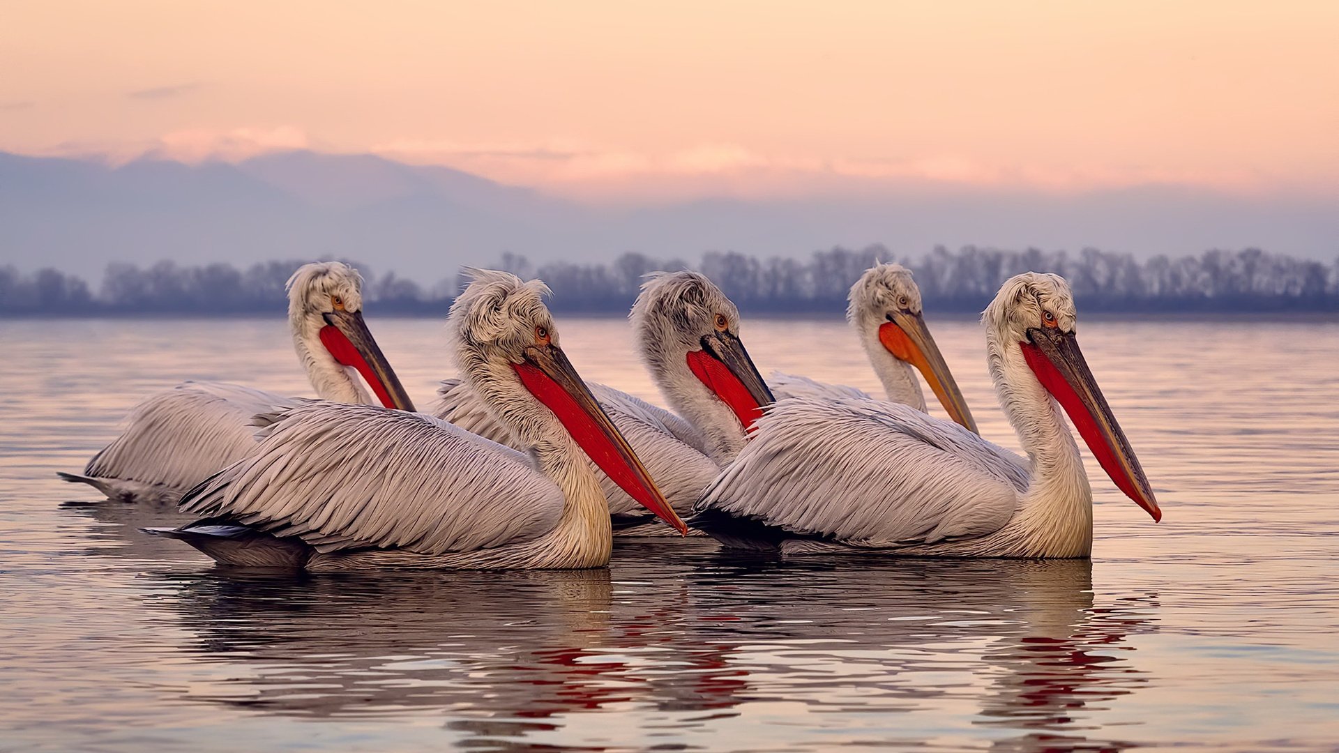 南美区预选赛焦点战，厄瓜多尔绝地反击力克哥伦比亚