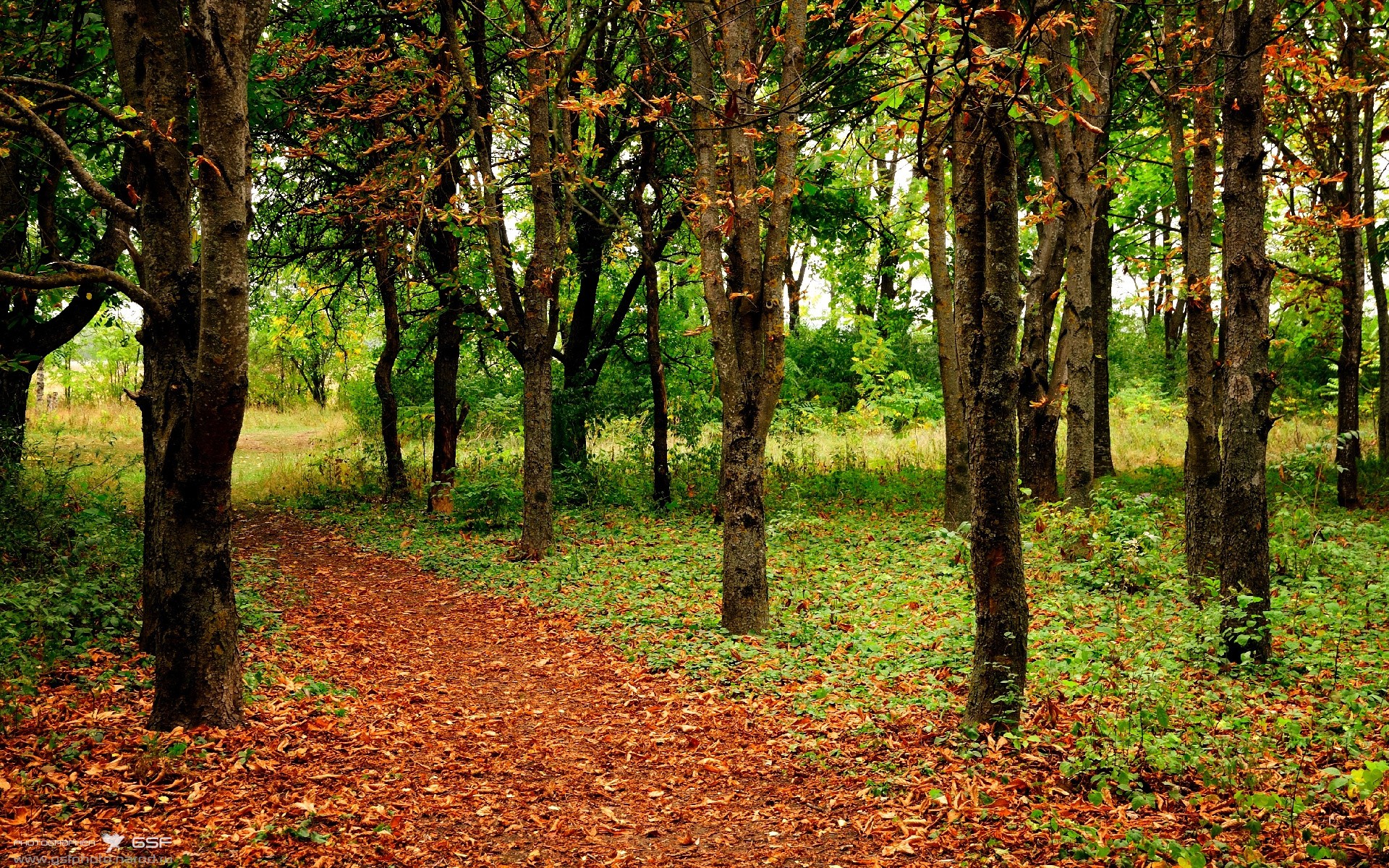 改写历史！尤文完胜克罗地亚，迪巴拉成为打破宿命的关键先生