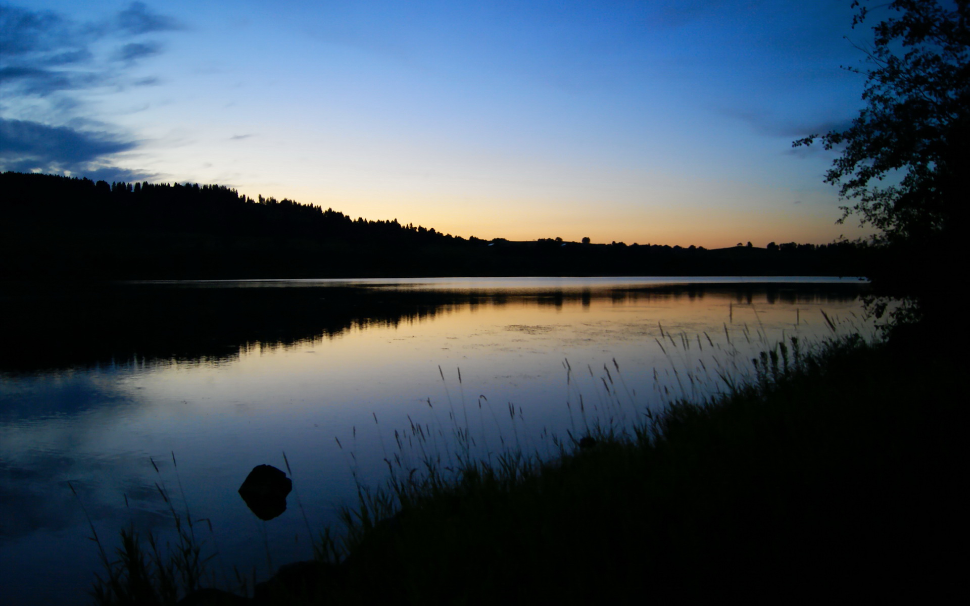 年度焦点之战之夜,英格拉姆,生于镁光灯下的篮球大艺术家