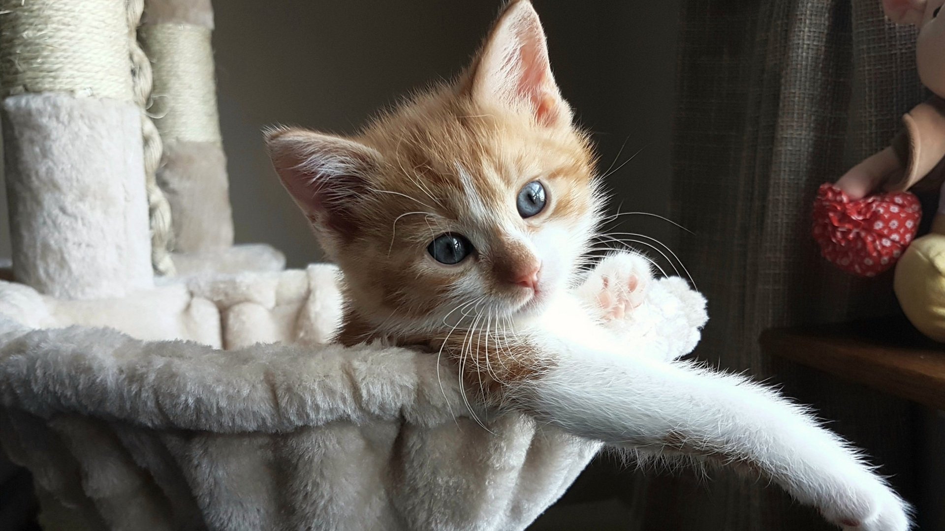 改写历史之夜,切特准绝杀勇士,接过未来权杖的一刻