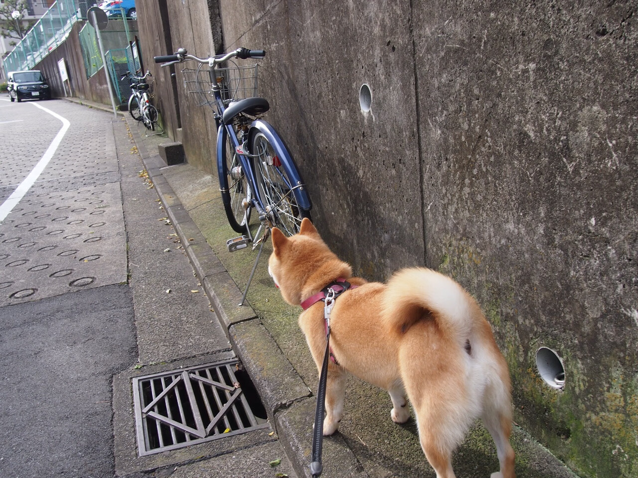 英超争冠试金石！阿森纳横扫尼斯展现冠军级统治力