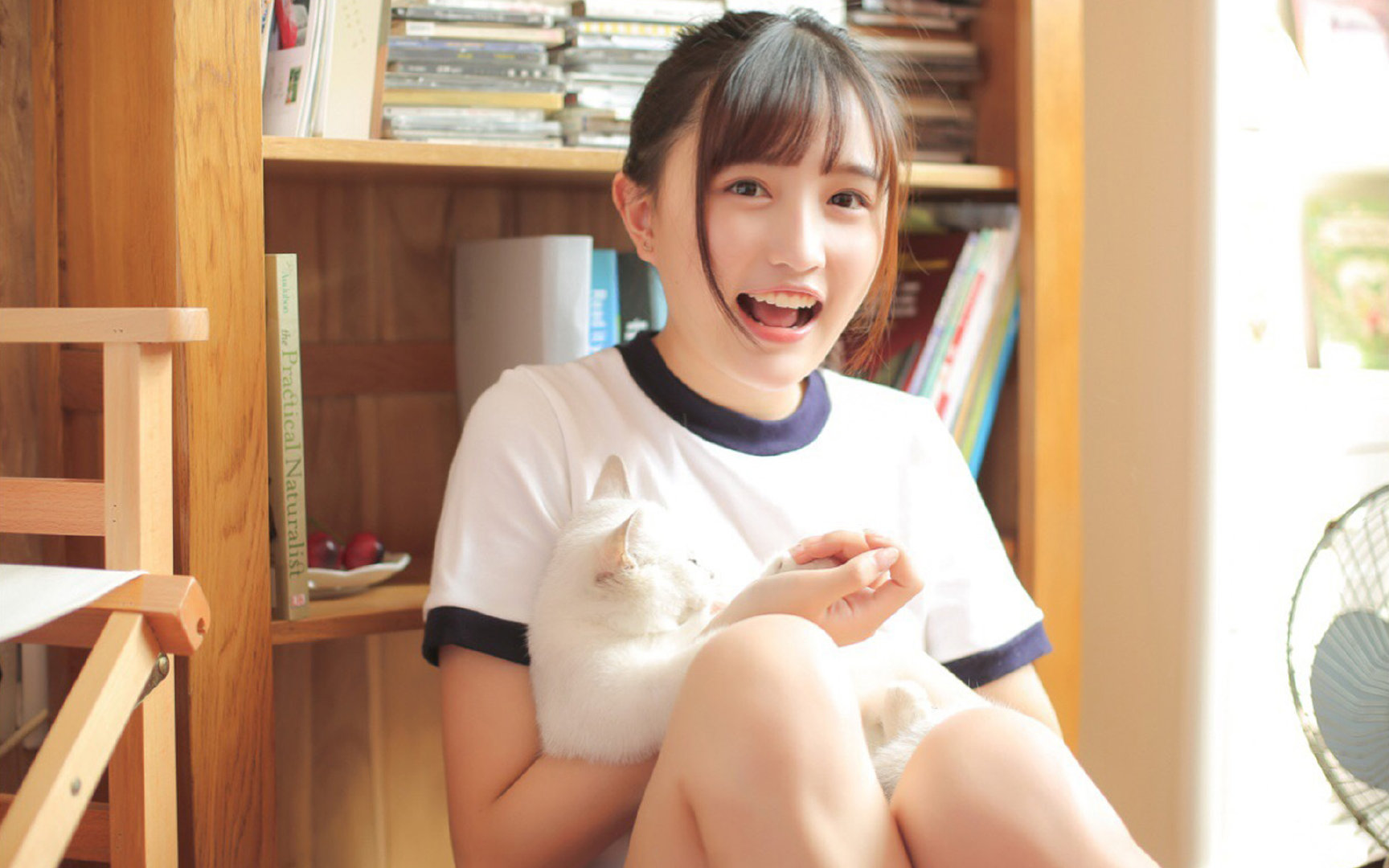 当深圳的冷兵器冲垮达拉斯的防线，福克斯的手术刀为何在舞台中央越磨越利？