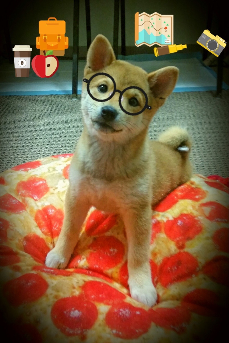 法老之矛刺穿猎鹰盾墙，巴尔韦德成为颠覆亚特兰大的关键先生