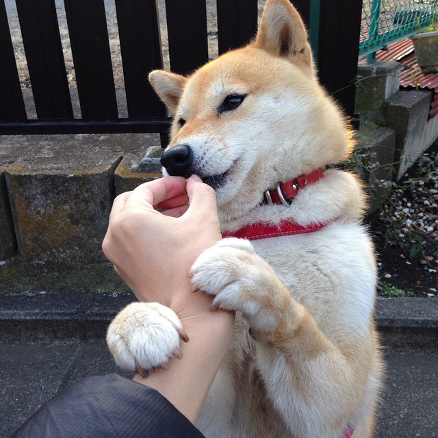 恩佐一剑封喉！皇马铁血意志于智利淬火之战中铸就